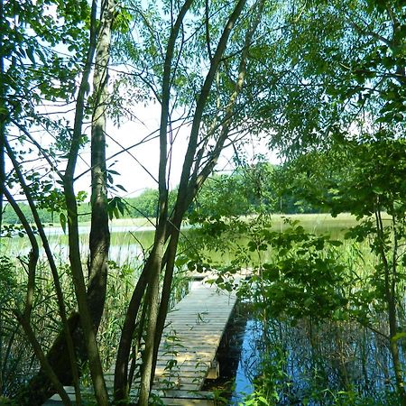 Siedlisko Agroturystyczne Villa Mragowo Luaran gambar